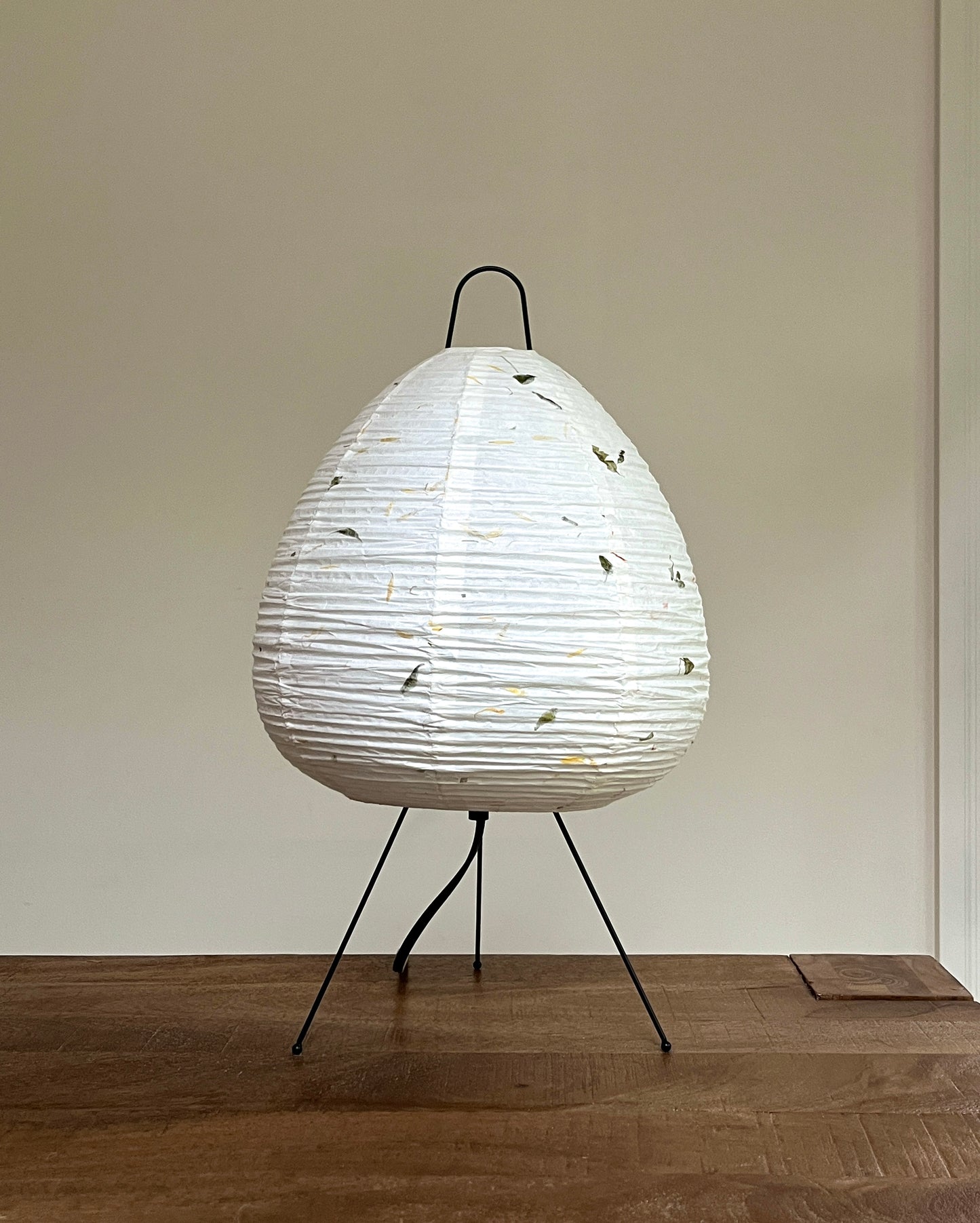 Handmade Botanical Paper Lamp